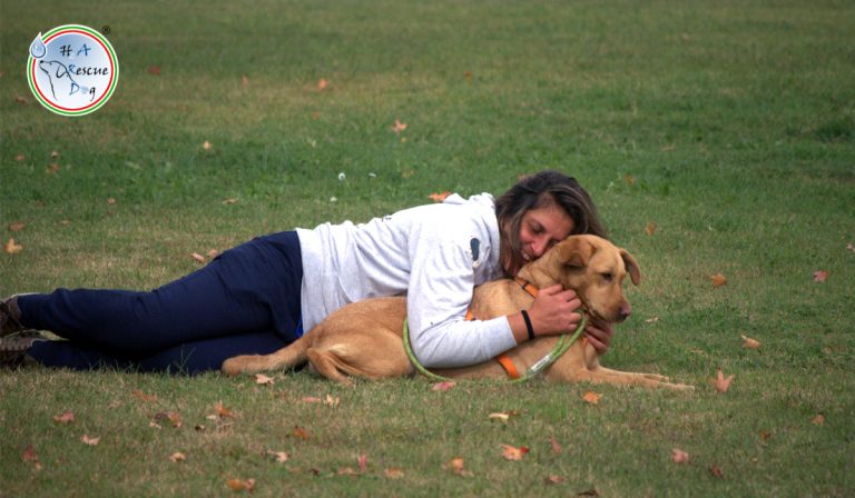 Educazione - H2A Rescue Dog