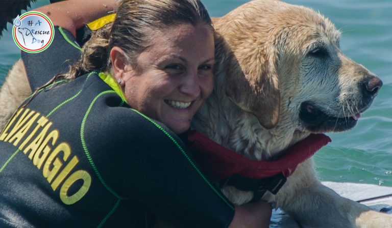 Istruttrice H2A Rescue Dog con il suo cane