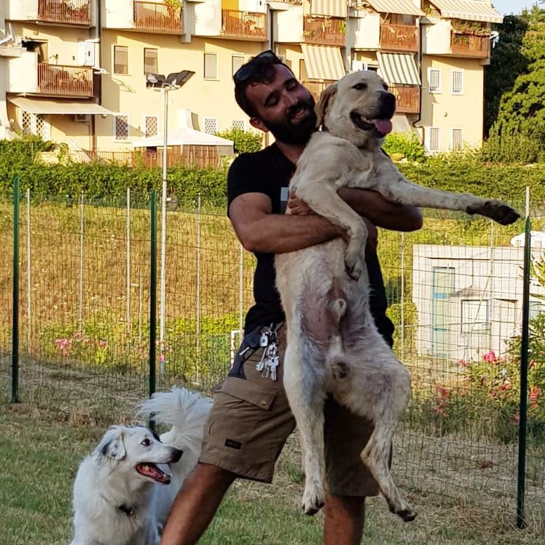 Davide GABRIELLI